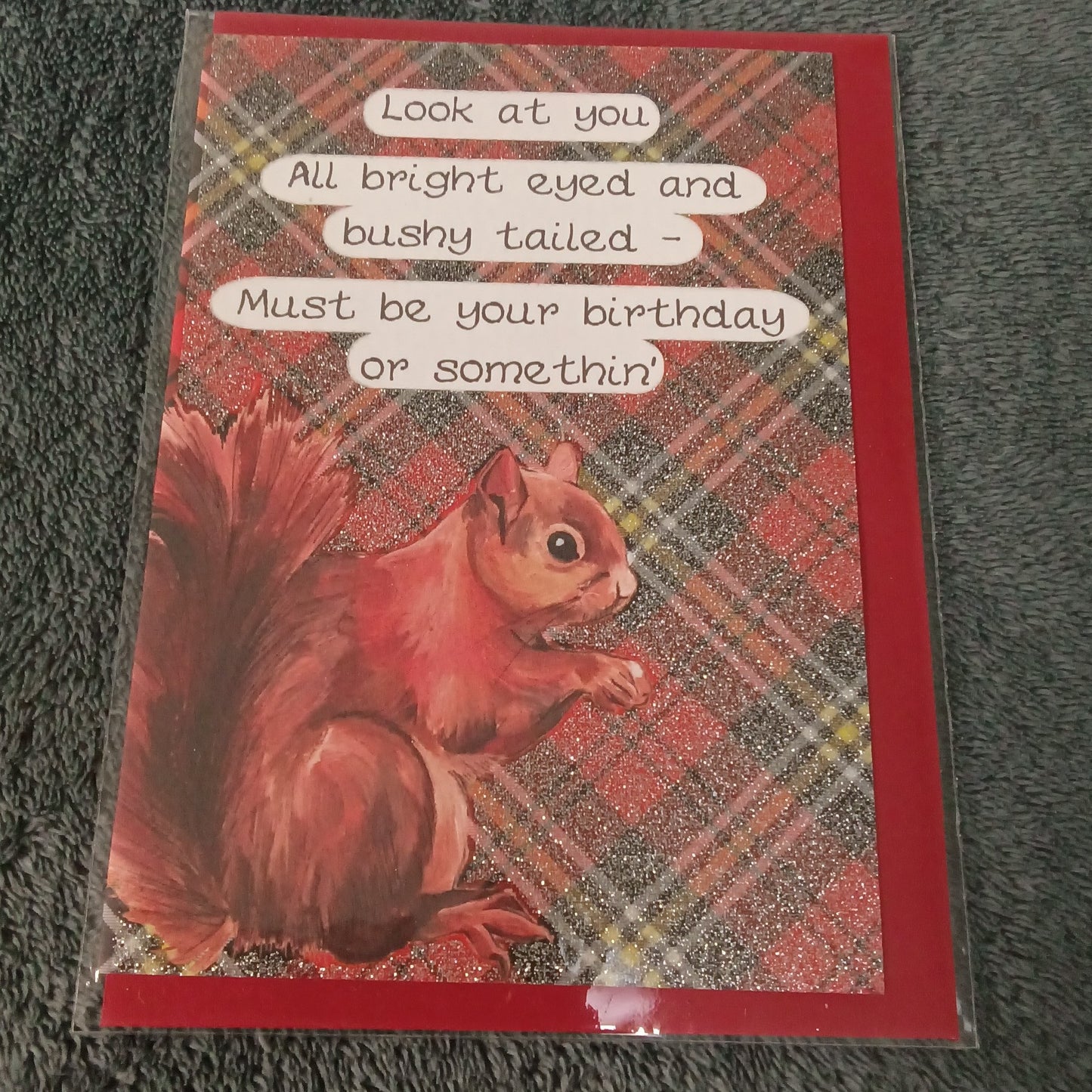 Red Squirrel