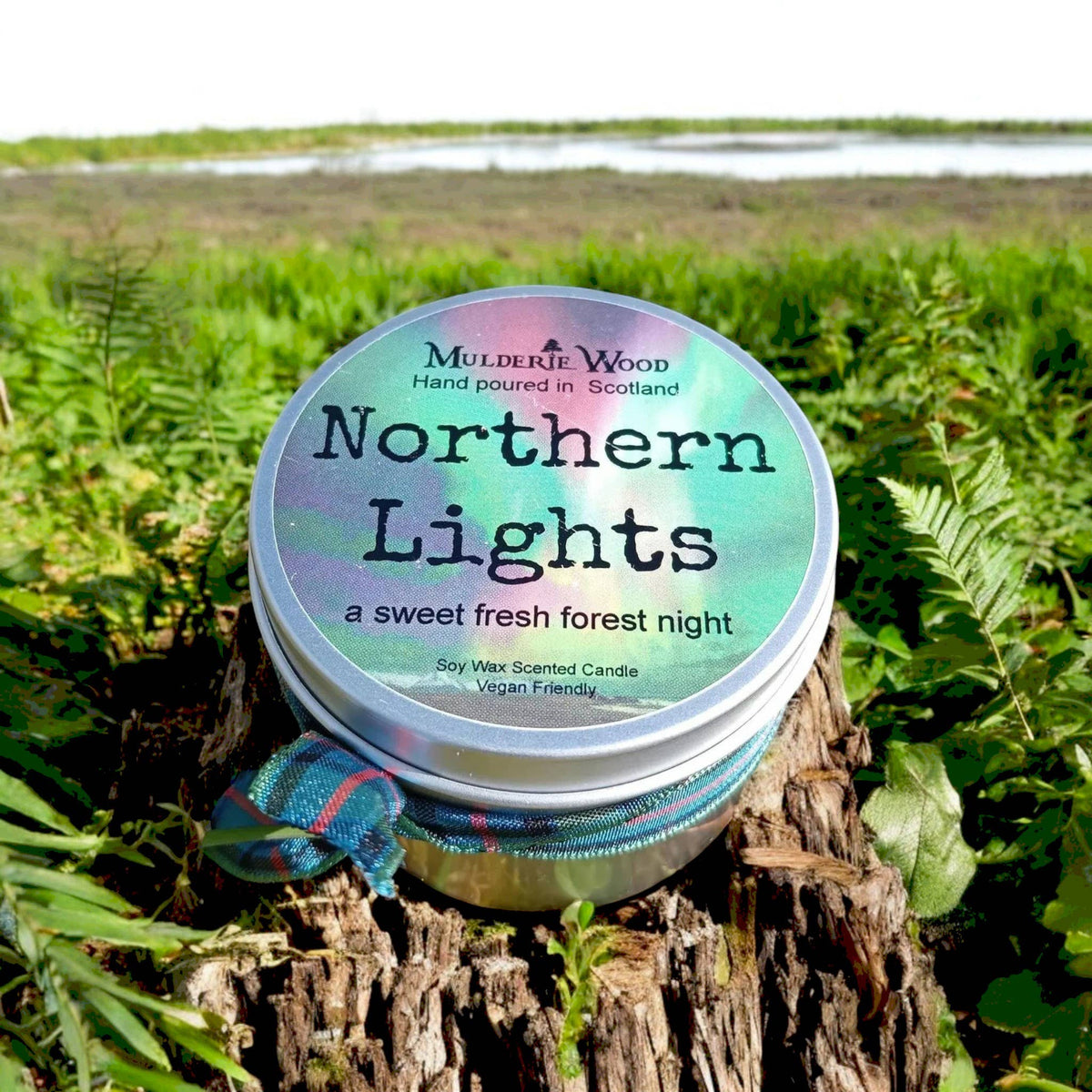 Northern Lights Fresh Pine Scottish Gift Candle