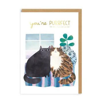 You're Purrfect Anniversary Card