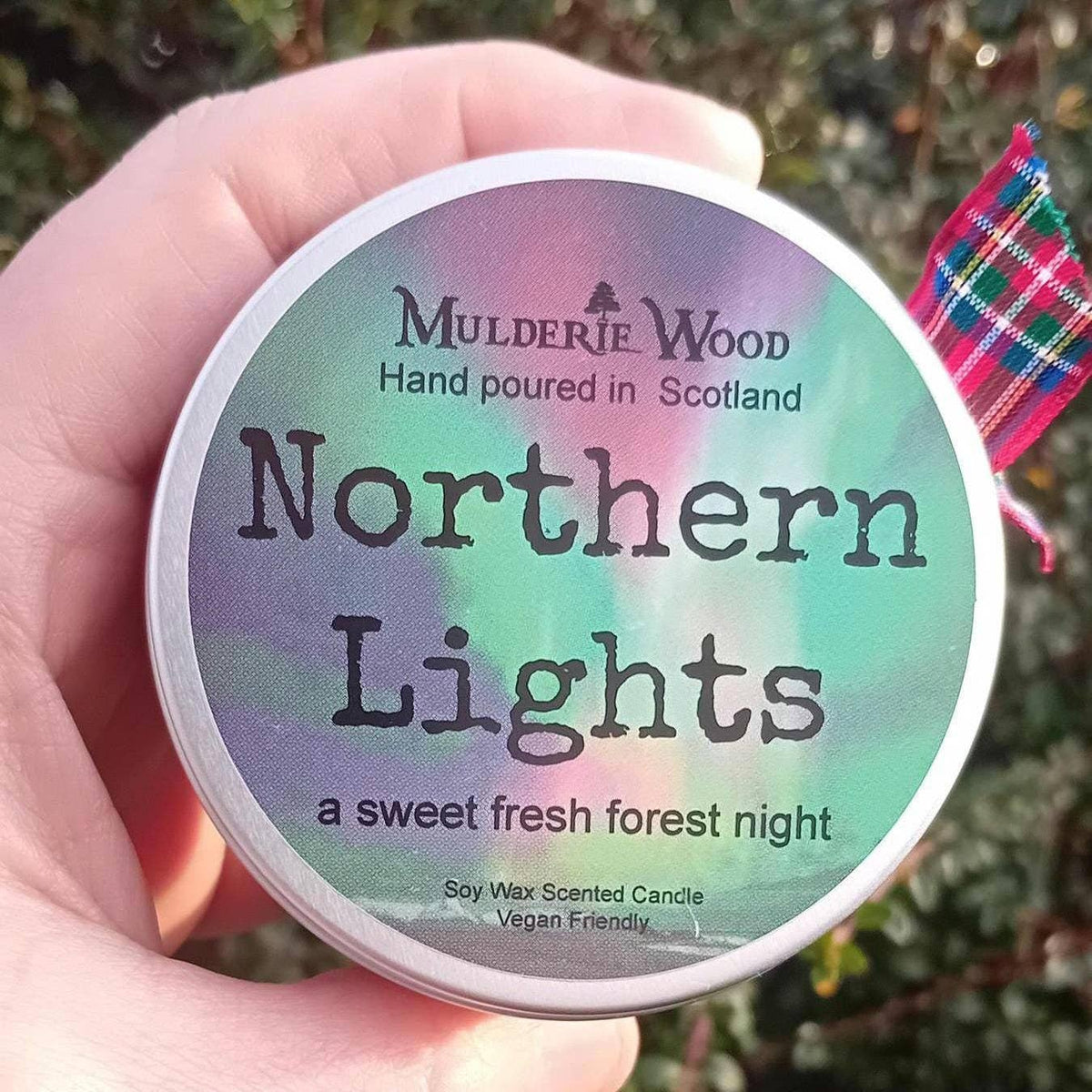 Northern Lights Fresh Pine Scottish Gift Candle